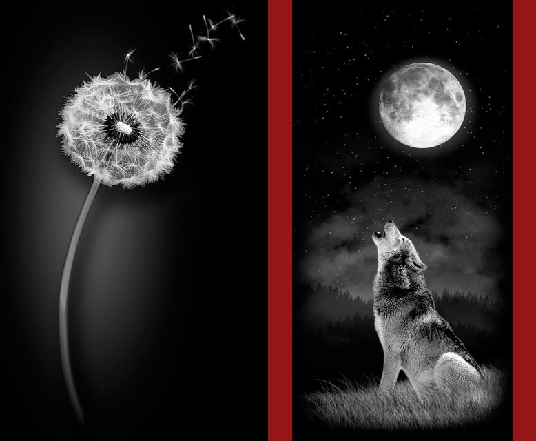 Kris-Hendrix-Dandelion-and-Wolf-Etchings